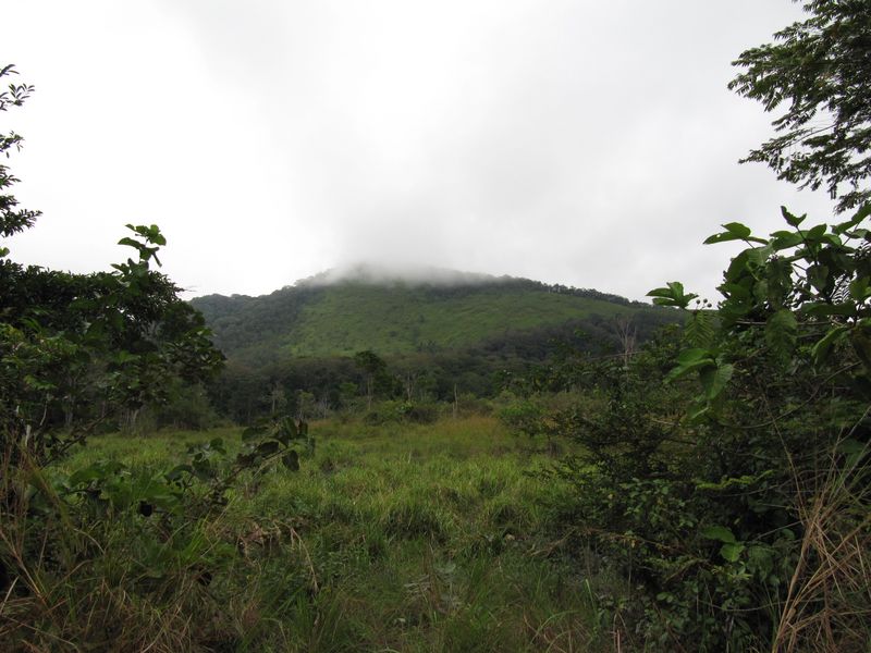 Lope National Park, a landmark associated with Gabon