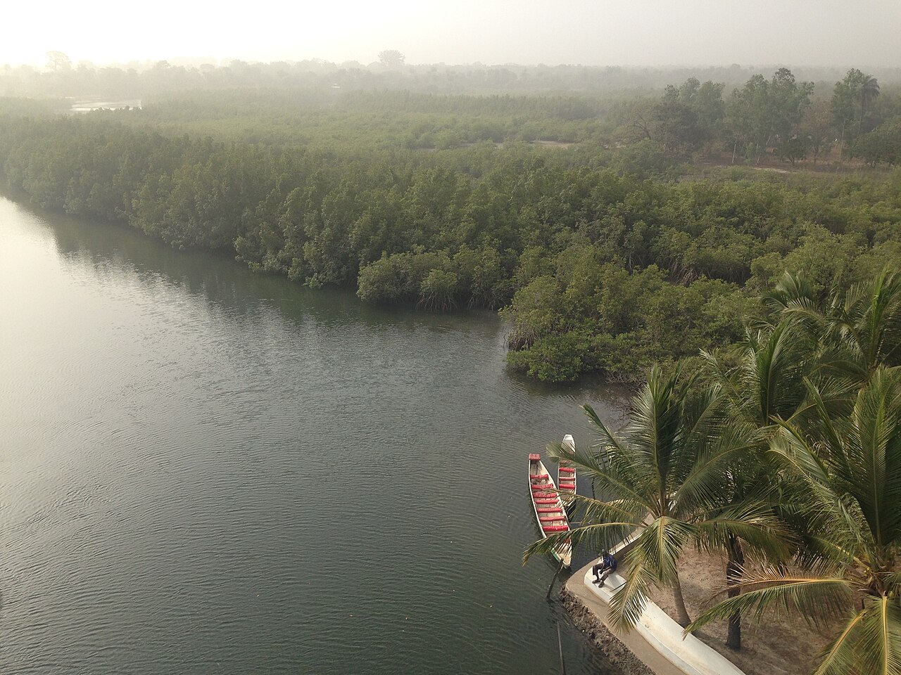 Kunta Kinteh Island, a landmark associated with The Gambia