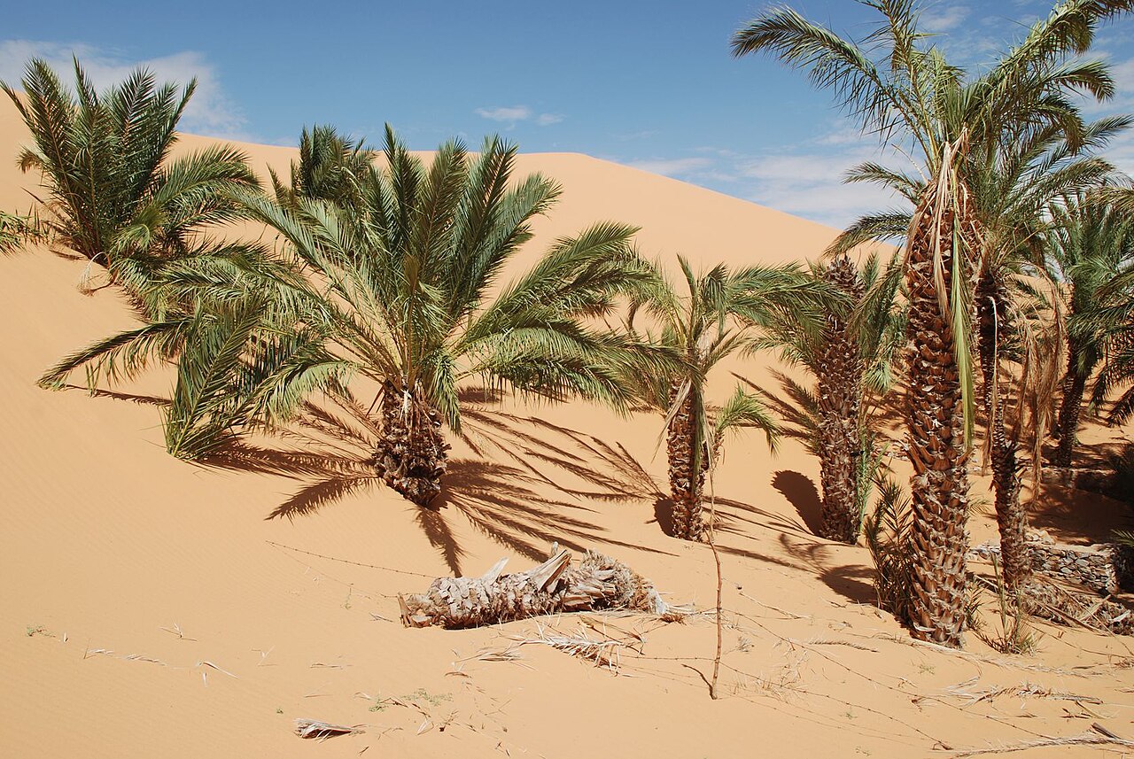 Chinguetti, a landmark associated with Mauritania